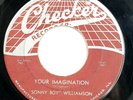 Sonny Boy Williamson Let Me Explain Your Imagination Checker ?834 1956