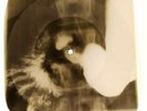 Elvis Presley - Roustabout  X-RAY OF THE USSR X-RAY BONES RECORD