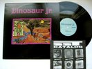 1987 Dinosaur Jr Little Fury Things SST 152- NM Vinyl LP ULTRASONIC CLEAN
