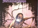 English Dogs Metalmorphysis 12
