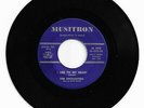 RARE  DOO WOP 45 THE ENCHANTERS I LIED TO MY HEART ON MUSITRON VG ORIG 2ND PRESS