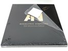 Signed Awolnation Megalithic Symphony 10th Anniversary Autographed Vinyl LP Box