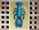 THE B-52's - Rock Lobster - 7