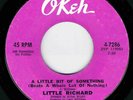NORTHERN SOUL - LITTLE RICHARD - A LITTLE BIT OF SOMETHING - OKEH 