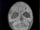 BONNIE PRINCE BILLY - I SEE A DARKNESS