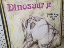 Dinosaur jr You're Living All Over Me - 12 inch  LP ALBUM VINYL TOP