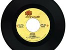 STORM   Gone / This I Find is Beautiful   1971 SUNFLOWER 45 MONO Funk/Soul