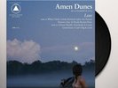 Amen Dunes “Love” Black Vinyl LP Record Album VG+ Out Of Print Sacred Bones