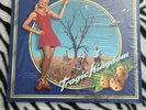 No Doubt Trqgic Kingdom (USED2014 Limited Edition Color Vinyl Lp record-reissue)