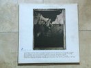 Pixies Surfer Rosa 1st UK Press Vinyl LP 1988 12