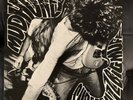 MUDHONEY Superfuzz Bigmuff 12