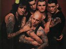 Rose Tattoo Scarred For Life NEAR MINT WEA Vinyl LP