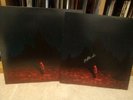 Phoebe Bridgers Punisher Peacock Vinyl With Signed Print