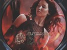 OST (SCORE)-HUNGER GAMES: CATCHING FIRE, THE (PICTURE D (UK IMPORT) VINYL LP NEW