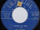 Doo Wop 45 SPIDERS You're The One IMPERIAL HEAR