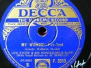 LEW STONE (Bowlly) My Woman / Junk Man Blues (V++)