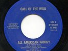 HEAR- Rare Punk / New Wave 45 - Call Of The Wild- All American Family- Dev Music