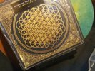 Bring Me The Horizon - Sempiternal Newbury comics exclusive Vinyl x/500 patina