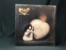 1989 Cher, Heart of Stone, Vinyl Record, GHS 24239, VG+