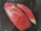 Modern English 12” I Melt With You 1990  Issue 6 Tracks Shrink on