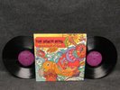 33 RPM LP (2) Record Set The Beach Boys Sunshine Dream 1982 Capitol SVBB-12220