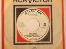 ELVIS PRESLEY Roustabout / One Track Heart RCA SP-45-139 RADIO STATION PROMO