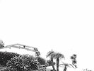 Timber Timbre-Hot Dreams (UK IMPORT) VINYL NEW