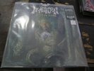 INCANTATION Sect of Vile Divinities LP KELLY Green W Splat VINYL 2020 Record NEW