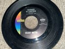 1965 Garage Rock - Rojay Gotee - Thunder N Lightnin / Miss Jantje Jones Vintage