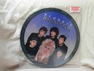 Blondie:   The Hunter   1982    UK  Picture Disc LP
