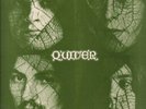 QUIVER Quiver LP VINYL UK Warner Bros 1971 9 Track Vinyl LP Green Label Design