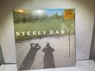 Steely Dan  