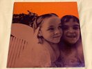 Smashing Pumpkins Siamese Dream Vinyl Remastered 180g 2x LP Gatefold