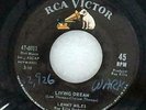 LENNY MILES 45 Living Dream w/ Donna's Gone RCA northern soul EX great copy MP3