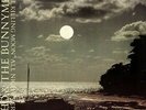Echo & The Bunnymen - The Killing Moon (All Night Version) (12