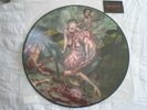 CANNIBAL CORPSE BLOODTHIRST Picture Disc LP Ltd. Edition New Never Played - RARE
