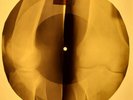 Beach Boys - Surfin' Safari  X-RAY OF THE USSR X-RAY BONE RECORD