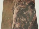 Sealed Spirit Of The Beehive Pleasure Suck Vinyl TE 166 Brand NEW Tiny Engines