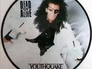 Dead or alive  Youthquke Picture-Disc