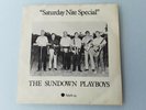 Saturday Nite Special - Sundown Playboys, UK Demo, P/S, Apple 44, Beatles