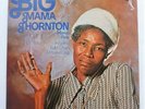 Big Mama Thornton Mama's Pride LP Vanguard VPC40001 EX/EX 1975 Mama's Pride