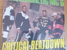 ultramagnetic mc's critical beatdown lp original usa pressing 1988 next plateau 