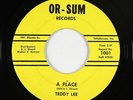 Garage 45 - Teddy Lee - A Place - Or-Sum - VG+ mp3 - obscure