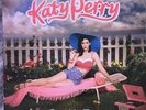 Katy Perry One of the Boys Vinyl Double LP Pink and Yellow