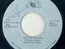 CREATIVE SOUL Are You the One / Eighth Wonder Blue Rain Sweet Soul NM 45 HEAR