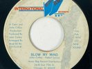 LOST FAMILY Blow My Mind / Pretty Face International Crossover Sweet Soul 45