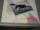 Paul mccartney wings denny laine SEALED VINLYL LP BEATLES 12 HOLLY DAYS PROMO