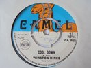 WINSTON HINES + ERIC FATTER Cool Down CAMEL UK Boss Reggae 7