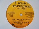 WINSTON FINCH You Can't Hide WILD Digi Ragga Roots Reggae 7
