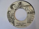 BOBBY MELODY In Jah Plan MISTER TIPSY Rub A Dub Reggae 7